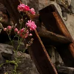 La Mura' - Il Vostro Posto Nel Gran Paradiso * Ronco Canavese