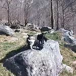 La Mura' - Il Vostro Posto Nel Gran Paradiso Ronco Canavese