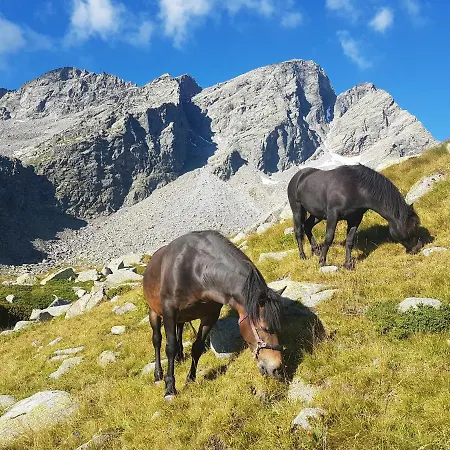 La Mura' - Il Vostro Posto Nel Gran Paradiso Ronco Canavese
