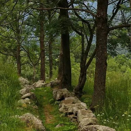 Feriehus La Mura' - Il Vostro Posto Nel Gran Paradiso