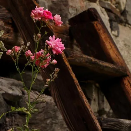 La Mura' - Il Vostro Posto Nel Gran Paradiso * Ronco Canavese