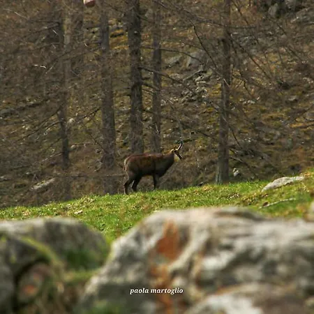 Feriehus La Mura' - Il Vostro Posto Nel Gran Paradiso