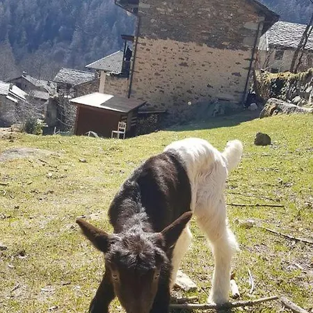 La Mura' - Il Vostro Posto Nel Gran Paradiso