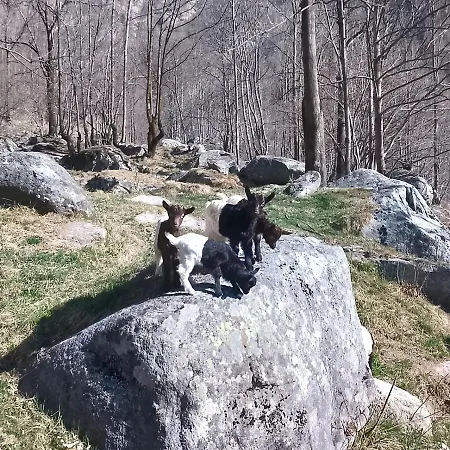 La Mura' - Il Vostro Posto Nel Gran Paradiso Ronco Canavese