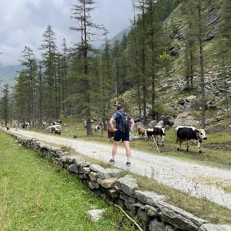 La Mura' - Il Vostro Posto Nel Gran Paradiso Tatil Evi *