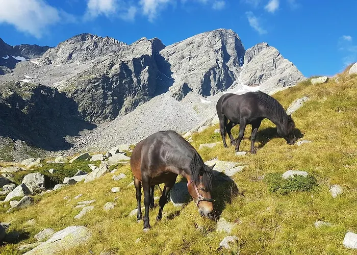 La Mura' - Il Vostro Posto Nel Gran Paradiso Ronco Canavese