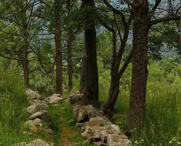 Holiday home La Mura' - Il Vostro Posto Nel Gran Paradiso