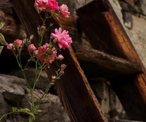 La Mura' - Il Vostro Posto Nel Gran Paradiso * Ronco Canavese