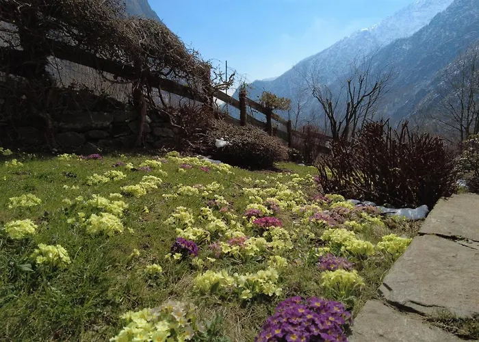 La Mura' - Il Vostro Posto Nel Gran Paradiso 펜션 *