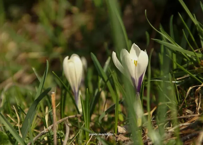 Holiday home La Mura' - Il Vostro Posto Nel Gran Paradiso
