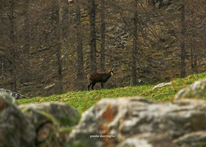 Dom wakacyjny La Mura' - Il Vostro Posto Nel Gran Paradiso