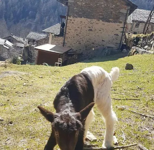La Mura' - Il Vostro Posto Nel Gran Paradiso