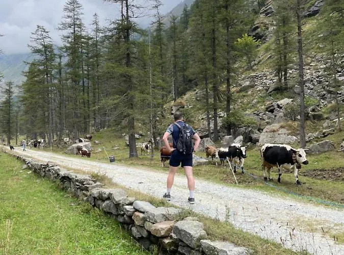 La Mura' - Il Vostro Posto Nel Gran Paradiso Dom wakacyjny *